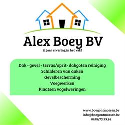 Alex Boey BV - Dakontmossing en meer, Lichtervelde openingstijden