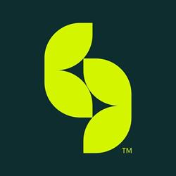 Bogroen Kunstgras - Gazon synthétique, Zaventem openingstijden