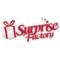SurpriseFactory België, Antwerpen openingstijden