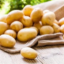 Aardappelen Renders, Kortenaken openingstijden
