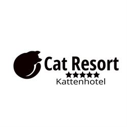 Cat Resort, Antwerpen openingstijden