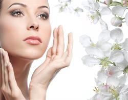 Beauty Relax Center, Sint-Eloois-Winkel openingstijden