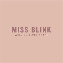 Miss Blink, Kortrijk openingstijden