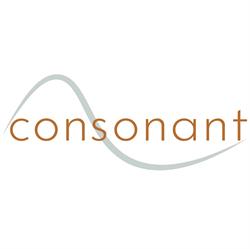 Consonant bemiddeling, Antwerpen openingstijden