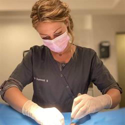 DSVet Cabinet vétérinaire Verlaine, openingstijden