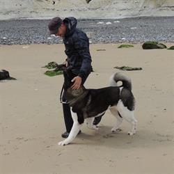 Psycho Dog, Flémalle openingstijden