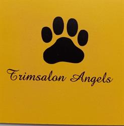 Trimsalon angels, Kieldrecht openingstijden
