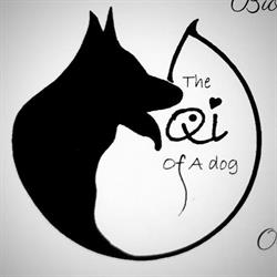 The Qi of A Dog, Harelbeke openingstijden