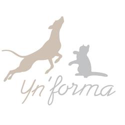 Yn'forma, Oetingen openingstijden