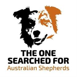 Australian shepherds The One Searched For, Maasmechelen openingstijden