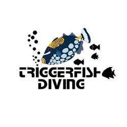 Triggerfish Diving, Aalst openingstijden
