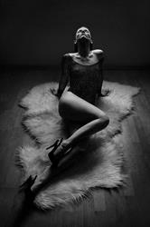 Tiffany Paige Photography, Maldegem openingstijden