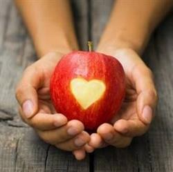 Fruithoeve Picard, Horebeke openingstijden