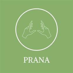Prana, Meerhout openingstijden