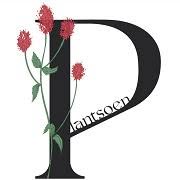 Plantsoen, Achel openingstijden