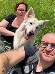 Live4dogz, Evergem openingstijden