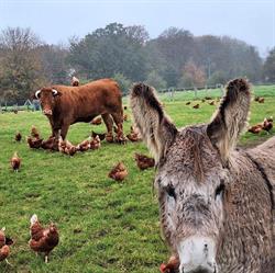 Ferme aux Légumes, Genepiën openingstijden