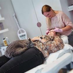 Maison Jolie, Sint-Truiden openingstijden