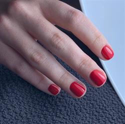 K-nails, Dentergem openingstijden