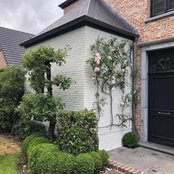 Javeco - Jan Verbeeck Coatings bv, Lier openingstijden