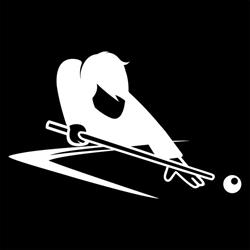 Gabriels Billiards, Ranst openingstijden