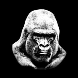 Silverback tattoo, Mol openingstijden