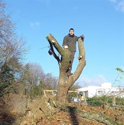 Le P'tit Forestier, Ressaix openingstijden