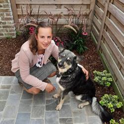 Dogprints, Koekelare openingstijden