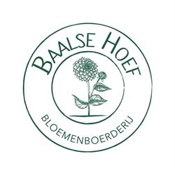Baalse Hoef Bloemenboerderij & Pluktuin, Baarle-Hertog openingstijden