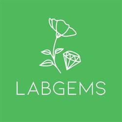 LABGEMS, Antwerpen openingstijden