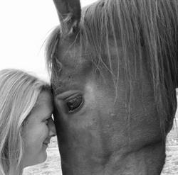 equicoaching Abrazo, Kortemark openingstijden