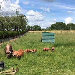 Au comptoir de la ferme, Ollignies openingstijden