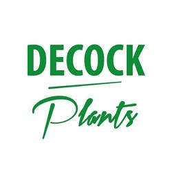 Decock Plants, Komen-Waasten openingstijden