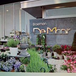 Bloemen De Moor, Wetteren openingstijden
