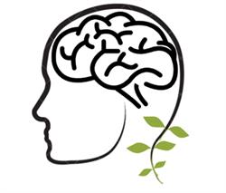 Psycholoog Julie van den Berg, Stokkem openingstijden