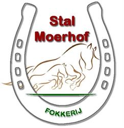 Stal Moerhof, Lille openingstijden