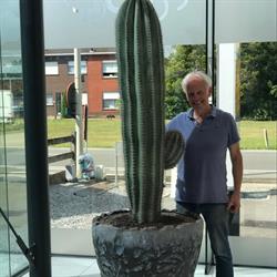 What a cactus!, Brecht openingstijden