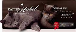 Kattenhotel, Brecht openingstijden