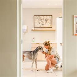 Dierenartspraktijk De Braamhoek, Pittem openingstijden