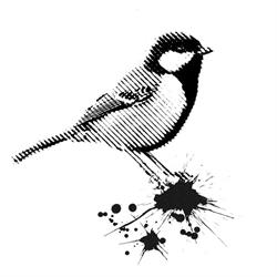Alibi Tattoo, Charleroi openingstijden