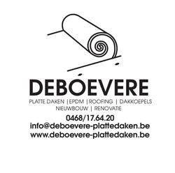 deboevere platte daken, Wingene openingstijden