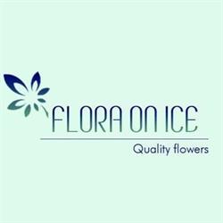 Flora On Ice, Laakdal openingstijden