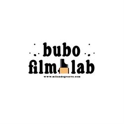 Bubo Film Lab, Diksmuide openingstijden
