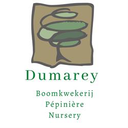Boomkwekerij Dumarey, Lier openingstijden