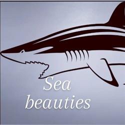 Sea Beauties, Kortrijk openingstijden