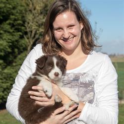Puppybegeleiding Annelies, De Haan openingstijden