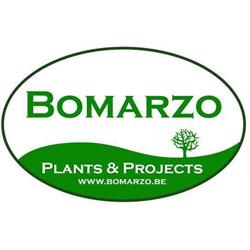 Bomarzo, Vrasene openingstijden