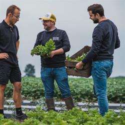 Belfond, artisanale fonds, Brakel openingstijden