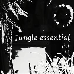 Jungle Style, Anderlues openingstijden