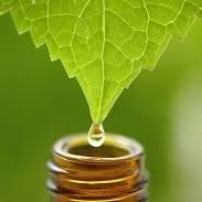 Naturopathe Catherine Callewaert, Sint-Pieters-Woluwe openingstijden